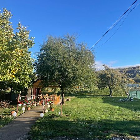 Отель Casa Linistita Chiscau Экстерьер фото
