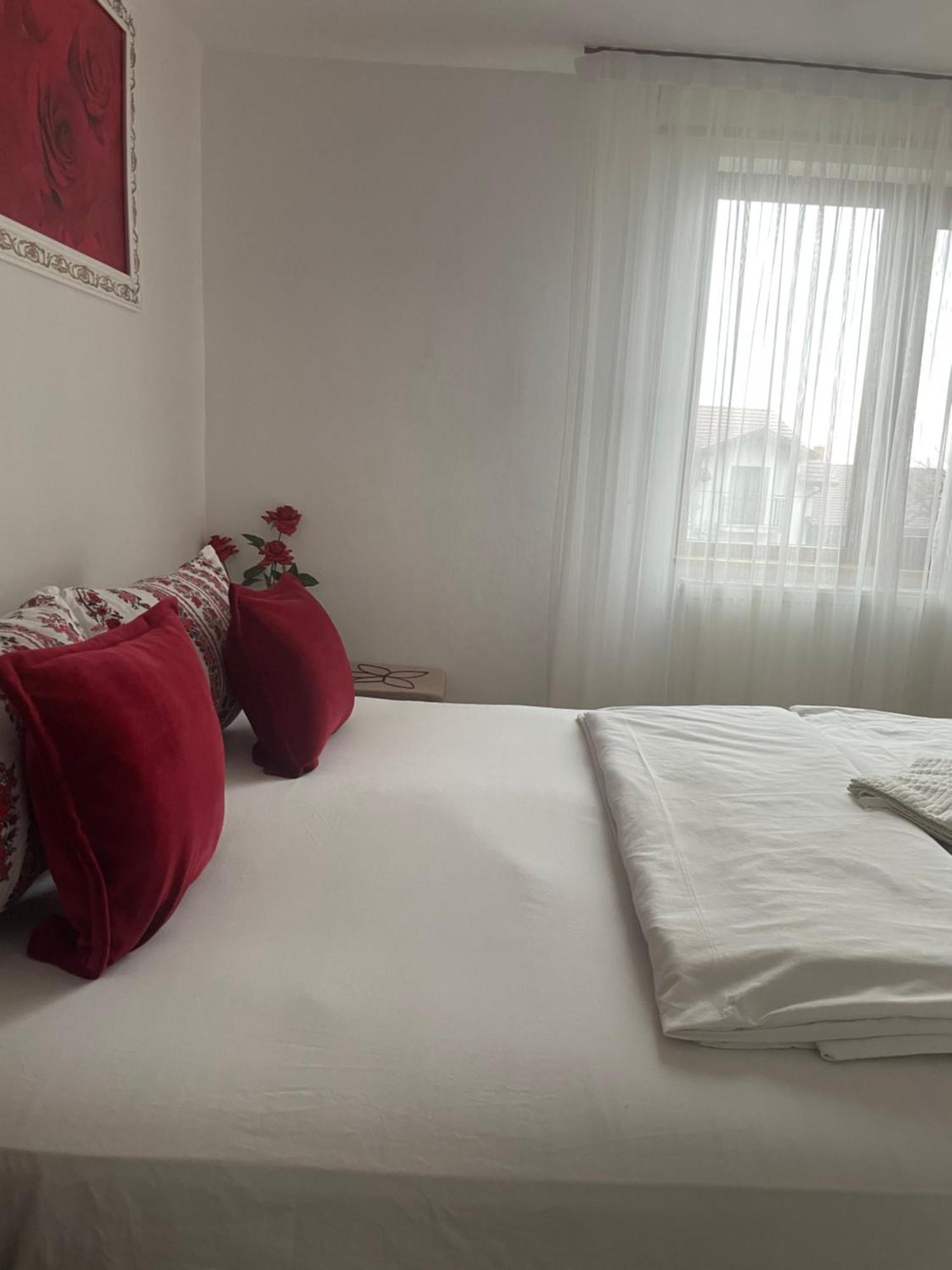 Отель Casa Linistita Chiscau Экстерьер фото